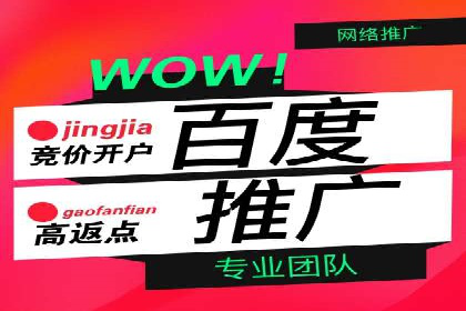 实战解析：SEM推广代运营案例